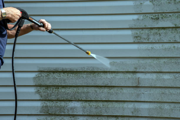 Best Soft Washing for Delicate Surfaces in Gulf Park Estates, MS